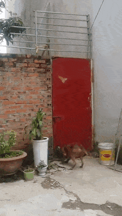 1674332944_8.gif