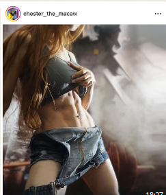 1674343710358.png