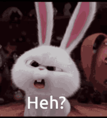 1674362308182.gif