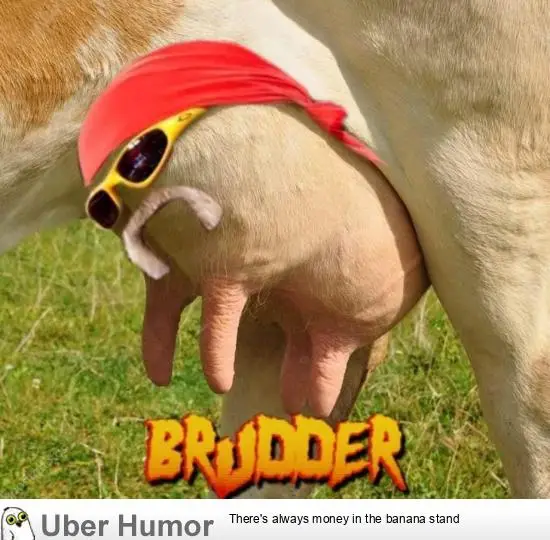 1674431555480.png