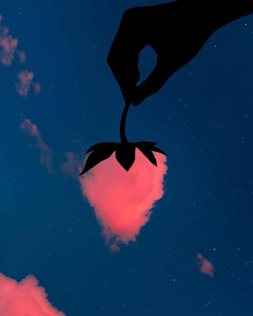 1674437549940.png