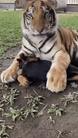 1674439919_11.gif