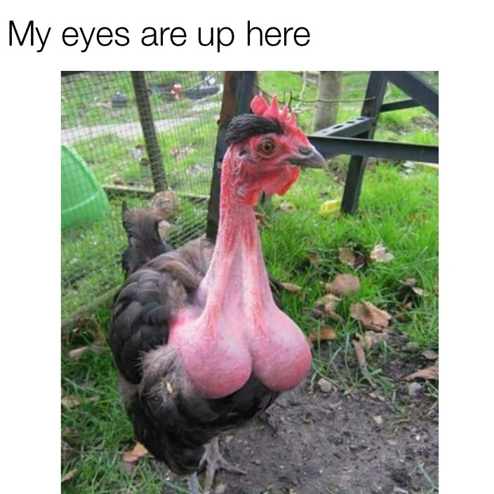 1674456443376.png