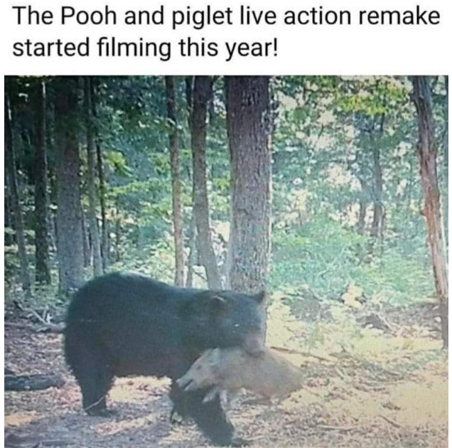 1674489215860.png