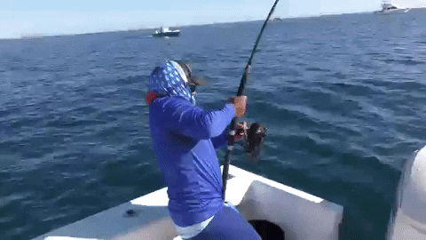 1674576516478.gif