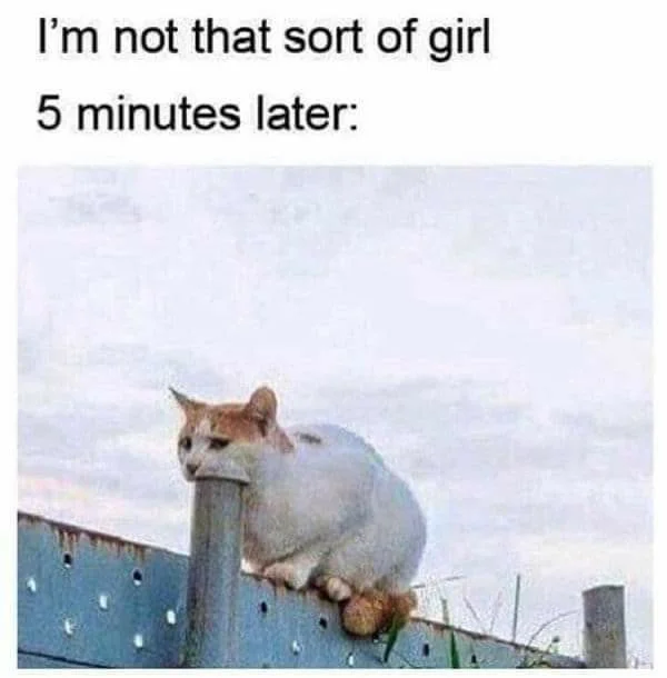 1674583438592.png