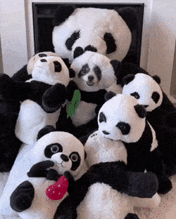 1674673150_15.gif