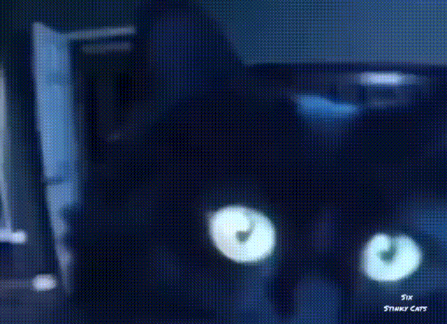 1674673168_22.gif