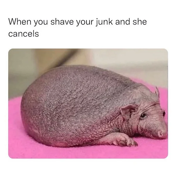 1674756565636.png