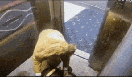 1674764413_2.gif