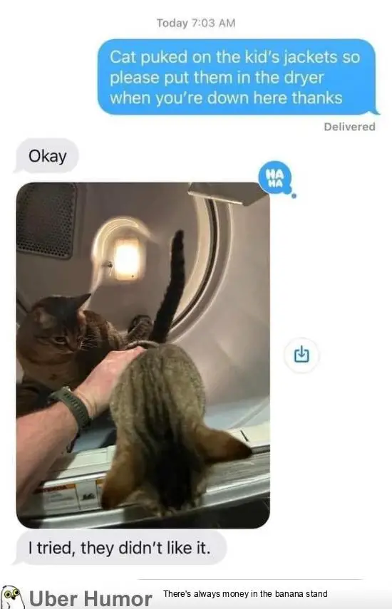 1674903930769.png
