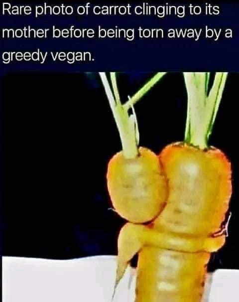1675084345272.png