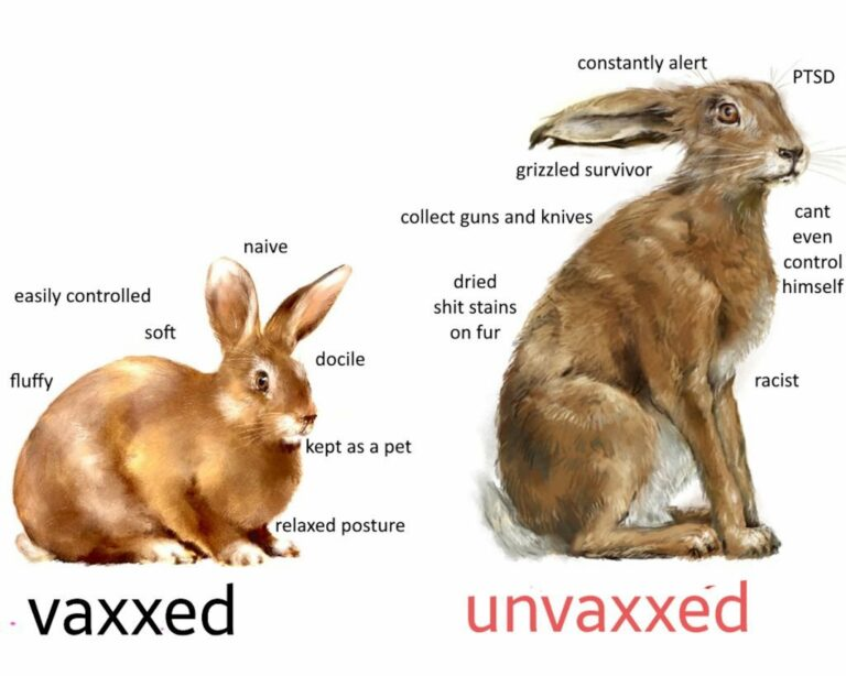 1675137050200.png