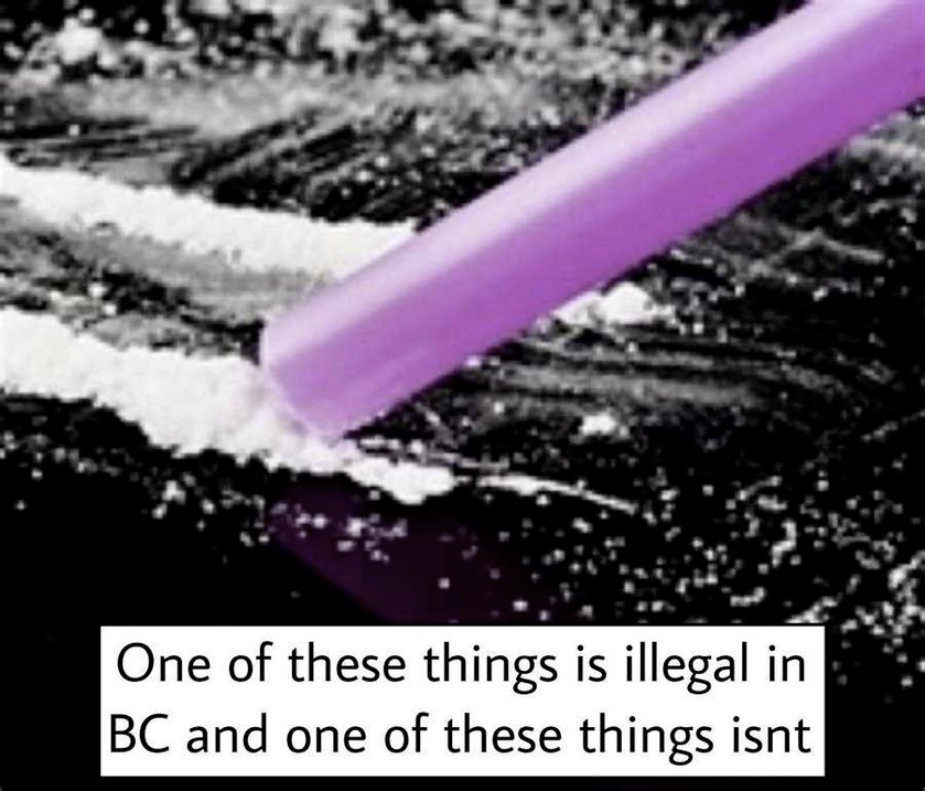 1675289018025.png