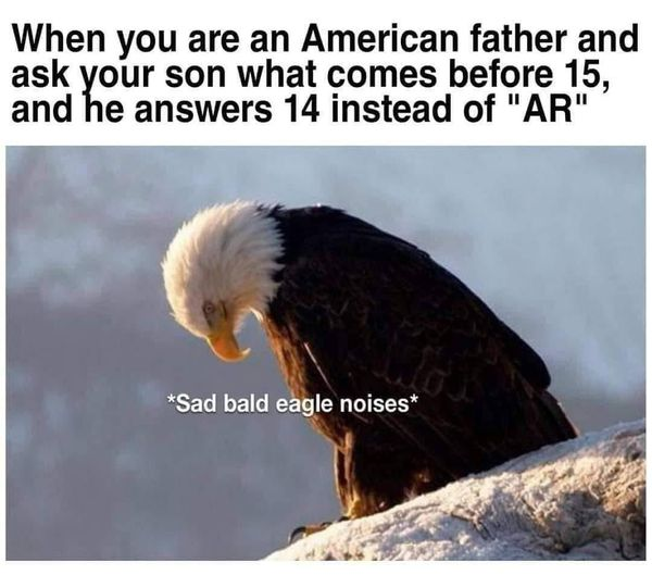 1675310109204.png