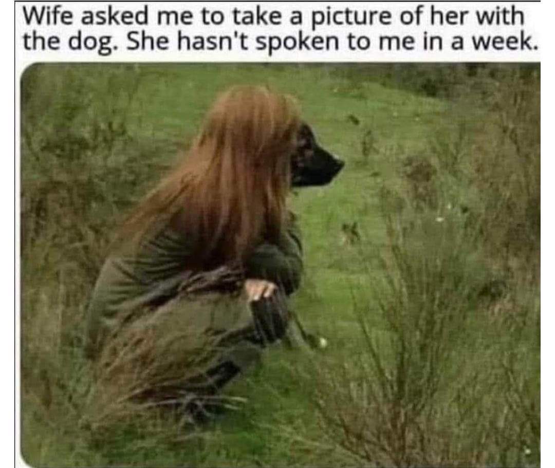 1675378300927.jpeg