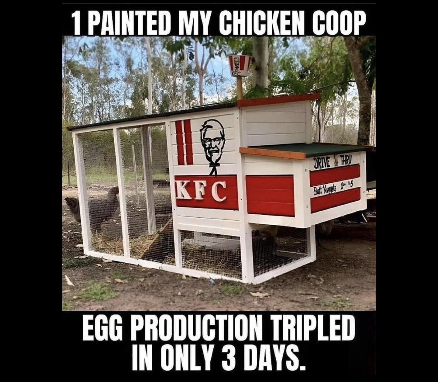 1675381298987.png