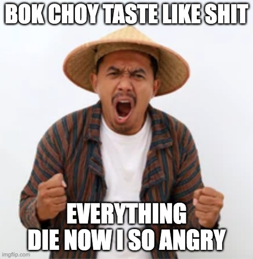 1675400090829.png