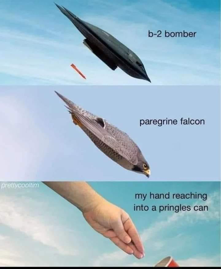1675438595308.png