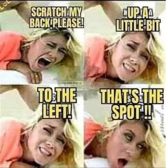1675456965431.png