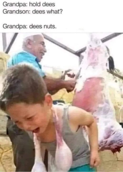 1675477324006.png