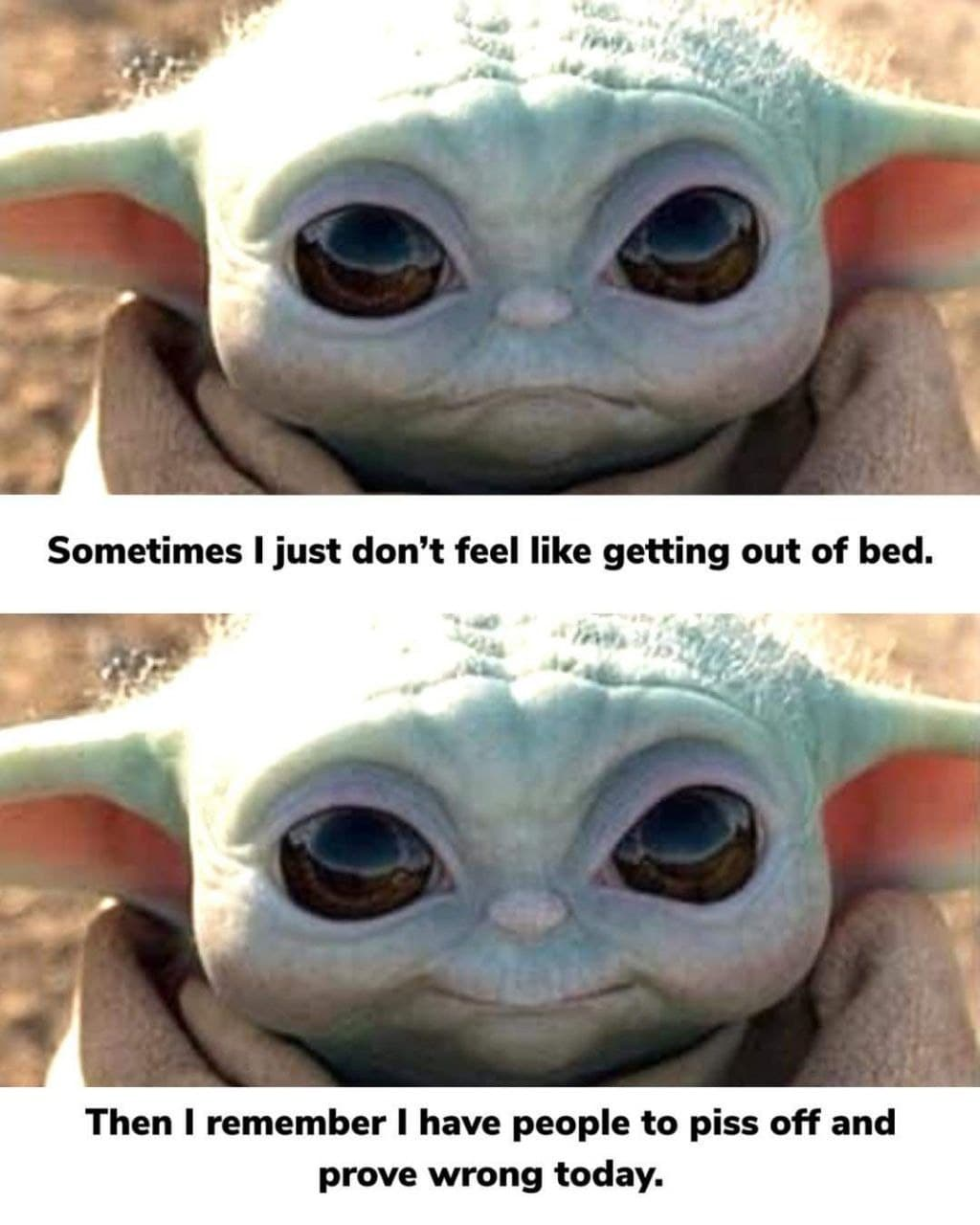1675488413726.png