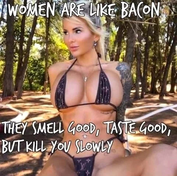1675546046100.png