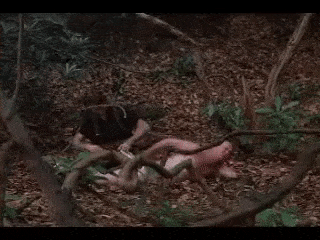 1675619399881.gif