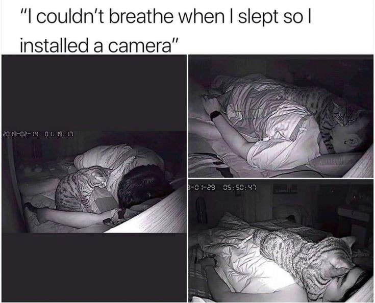 1675748886276.png