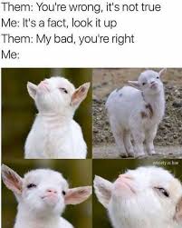 1675760292203.jpeg