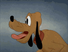 1675789457898.gif