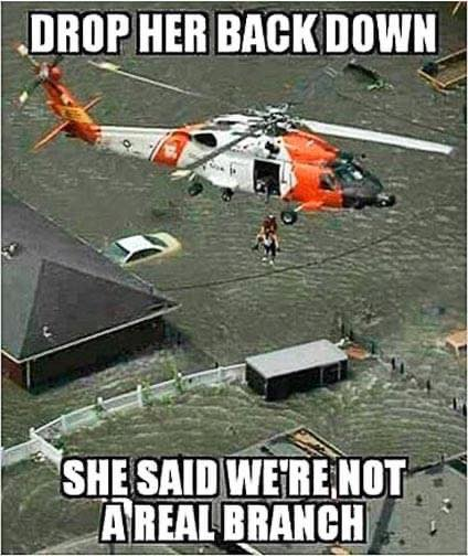 1675801931219.png