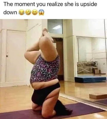1675828424039.png