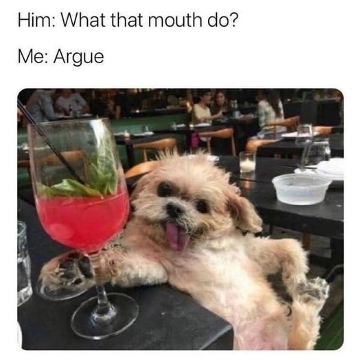 1676010715705.png