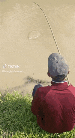 1676041960_6.gif