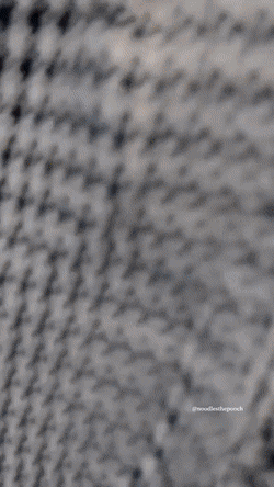 1676041979_10.gif