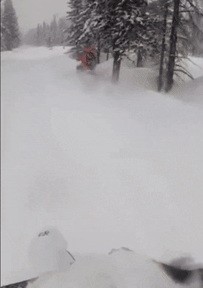 1676042039_17.gif