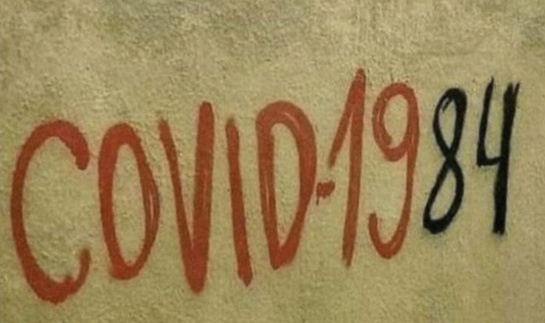 1676048839661.png