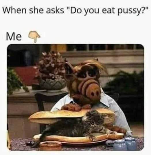 1676254959318.png