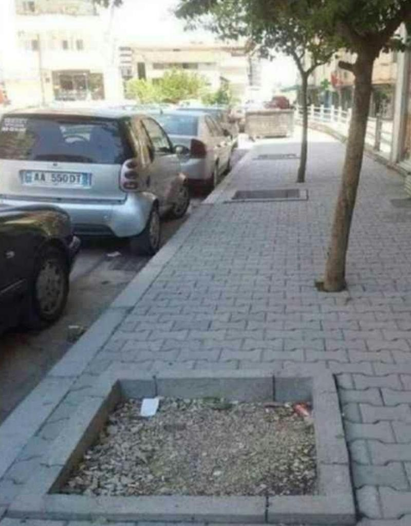 1676329326760.png