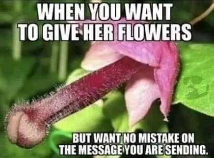 1676407081858.png