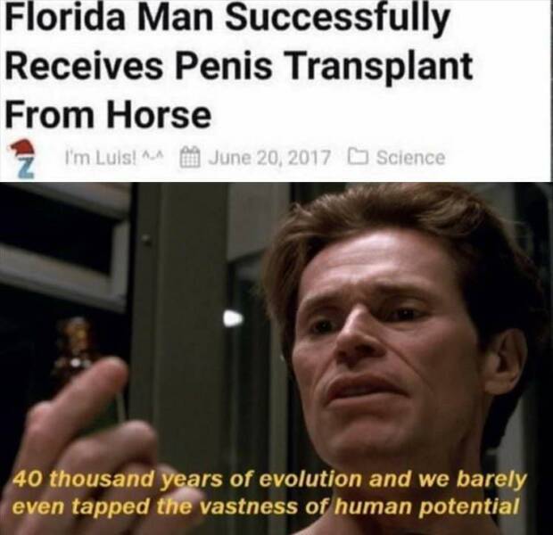 1676623587_fn_16.jpg