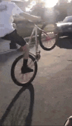 1676623807_4.gif