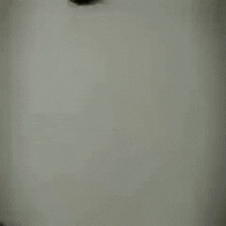 1676623823_24.gif