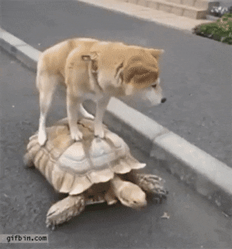 1676623841_3.gif