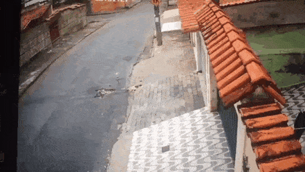 1676977867_14.gif