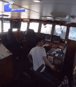 1676977929_24.gif