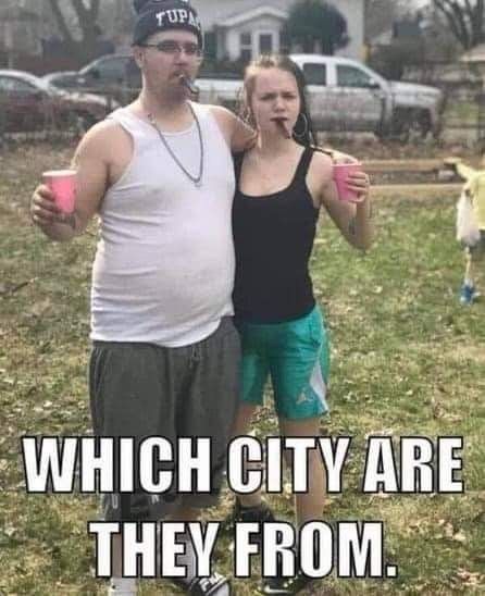 1677544059799.jpeg