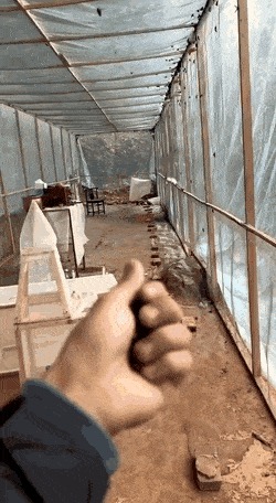 1677673250_2.gif