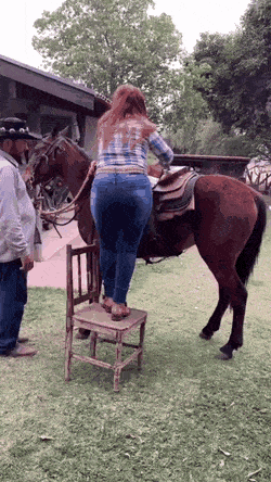 1677673337_01.gif